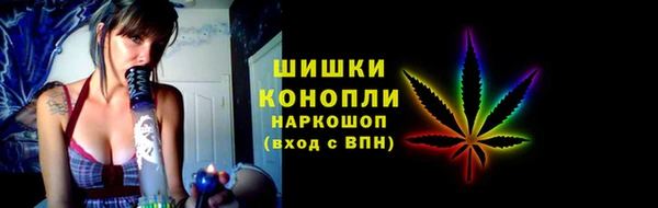 сатива Абинск