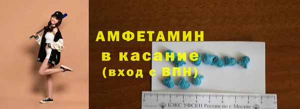 сатива Абинск