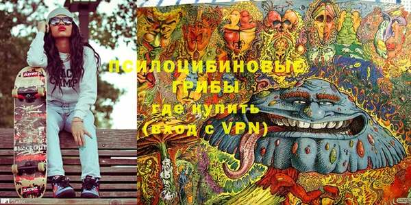 сатива Абинск