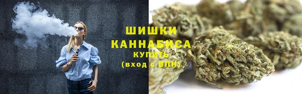 сатива Абинск